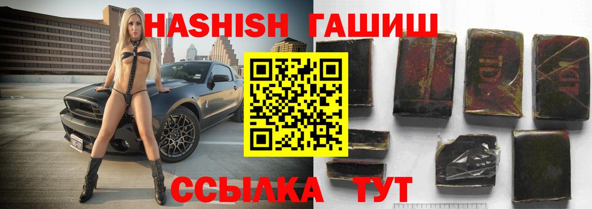 ГАШ Premium Кудрово