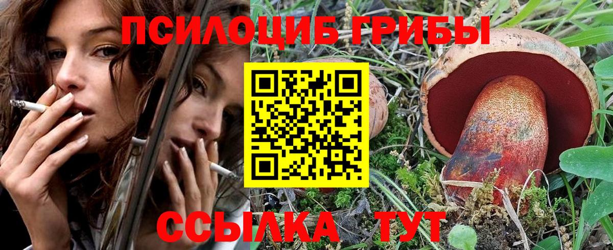 Псилоцибиновые грибы мицелий Кудрово
