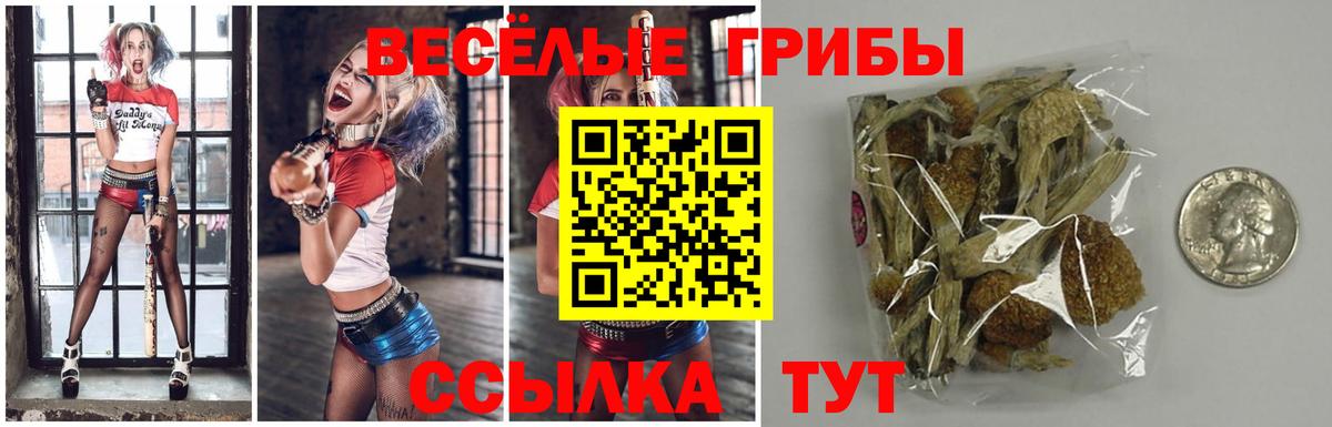 Кудрово  Галлюциногенные грибы Psilocybine cubensis  Вход с VPN 
